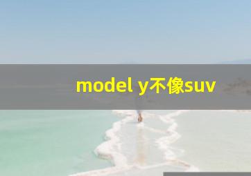 model y不像suv